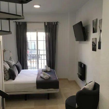 Alcazaba Suites Penthouse Appartement *